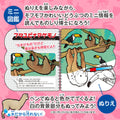 水ぬりえ モフかわどうぶつ図鑑 1セット